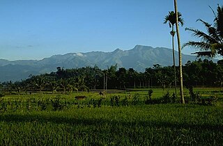 <span class="mw-page-title-main">Iyang-Argapura</span> Mountain in East Java, Indonesia