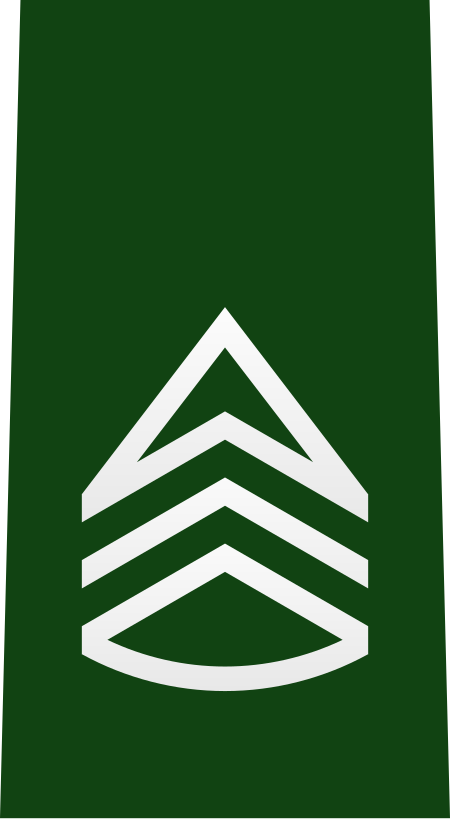 ไฟล์:JGSDF_Sergeant_Major_insignia_(b).svg