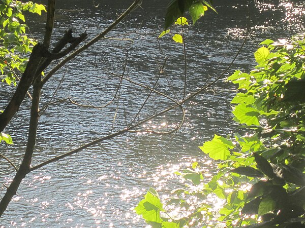 The James at Percival's Island Riverwalk in Lynchburg, Virginia