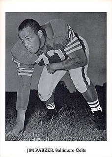 Jim Parker (American football) American football player (1934–2005)