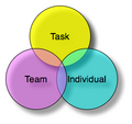 Thumbnail for Functional leadership model