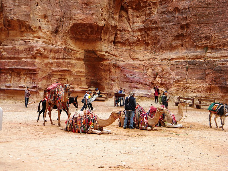 File:Jordan, Petra. Camels and people in front of Pharaoh's Treasury.jpg