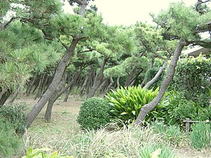 城ヶ島: 島名の由来, 地理, 産業