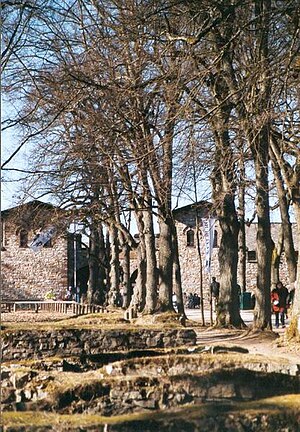 Saalburg: Indusketa arkeologikoak, Castelluma, Saalburg Museoa