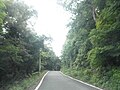 生名鷲ヶ尾 徳島県道146号鶴林寺線 (3)