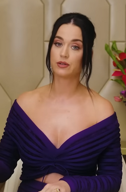 Katy Perry: Cuộc đời và sự nghiệp, Phong cách nghệ thuật, Hình tượng công chúng