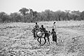 Kids moving with donkeys in Chad near the Kachkacha Market.jpg CC-BY-SA-4.0 self 234KB 666x1000 NIKON CORPORATION NIKON D4S