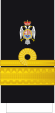 KoY-Navy-Admiral (1924-1929).svg