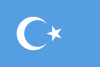 აღმოსავლეთი თურქესტანის დროშა.