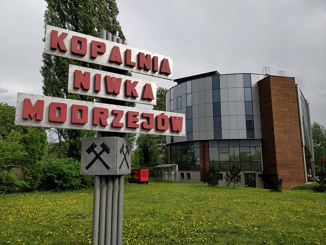 Kopalnia Węgla Kamiennego Niwka-Modrzejów