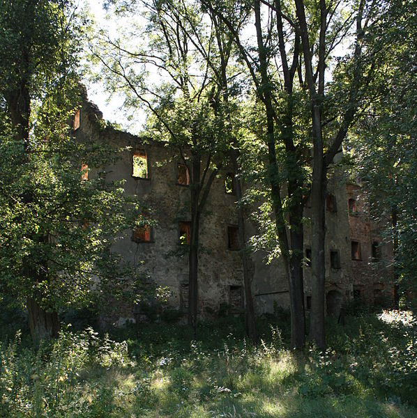 File:Kraszowice Ruiny palacu Bibranow 02.JPG