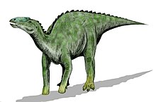 Deinosuchus may have preyed upon large ornithopods. Kritosaurus lived alongside the giant crocodilian in the Aguja Formation ecosystem. Kritosaurus BW.jpg