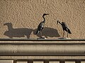 * Nomination Artificial depiction of two grey herons at the main entrance a multiple dwelling in Leipzig --Augustgeyler 01:28, 10 November 2020 (UTC) * Promotion  Support Good quality. --XRay 05:55, 10 November 2020 (UTC)