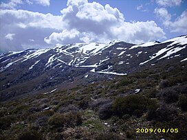 La cima del Bruncu Spina - 1829 m s.l.m. - Sardegna.JPG