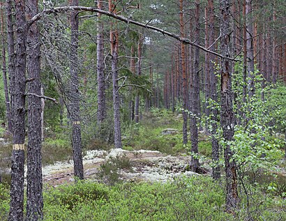 Vägbeskrivningar till Laggatorp med kollektivtrafik