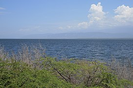 Danau Enriquillo.jpg