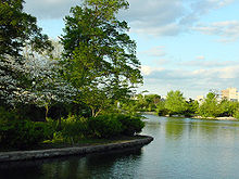 Lake Watauga is a small artificial lake in Centennial Park. Lakewatauga.jpg