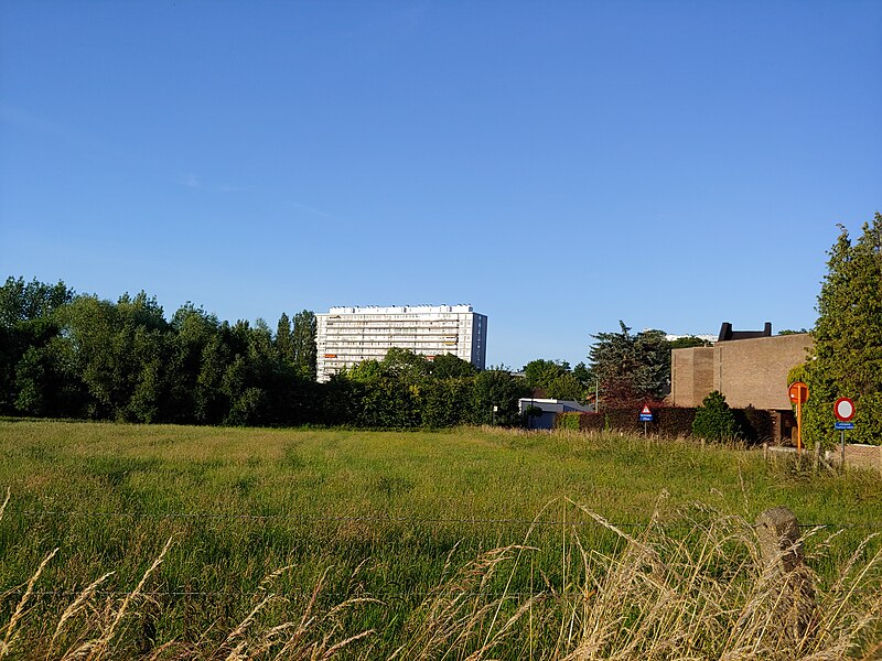 File:Landschap te Aalst Paddenhoek.jpg