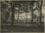 Парк, 1900-я гг.