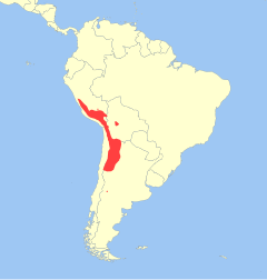 Leopardus jacobita distribution.svg