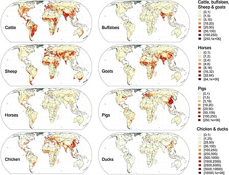 Global distribution data for cattle, buffaloes, horses, sheep, goats, pigs, chickens and ducks in 2010. Livestock of the World (cattle, buffaloes, sheep, goats, horses, pigs, chickens, ducks).jpg