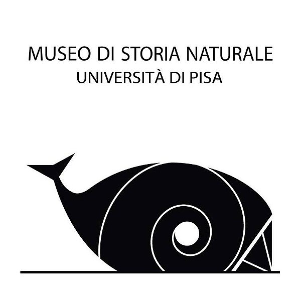 File:Logo museo storia naturale università di Pisa.jpg