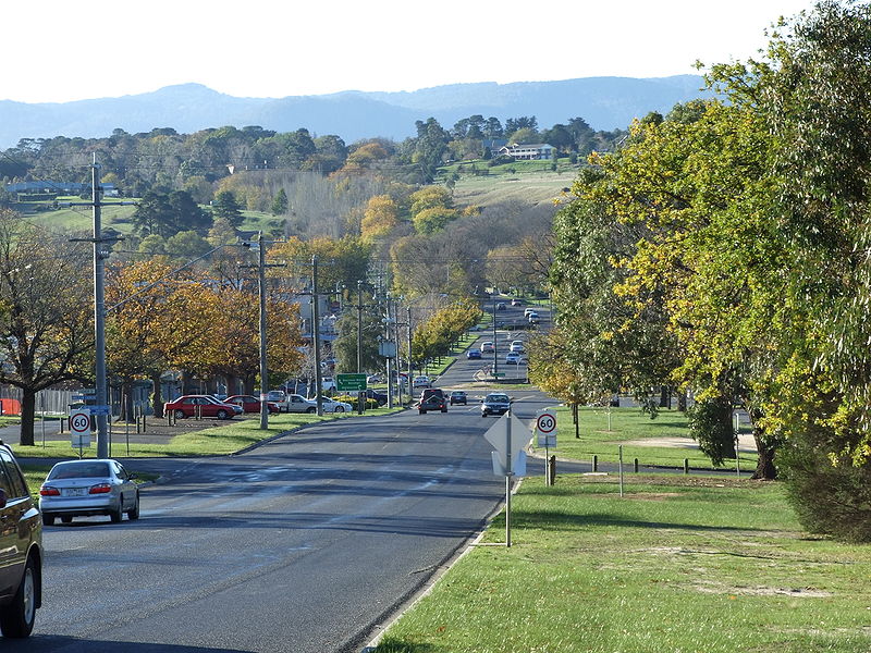 File:Looking down Gisbornes main street.JPG