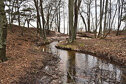 Mähe oja suue Pirita metsas.