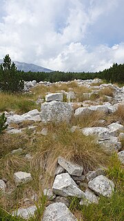 Miniatuur voor Bestand:Maiella - Blockhaus fort 02.jpg