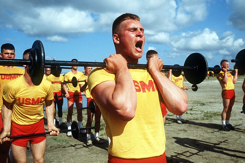 File:Marine Corps recruits lift weights as part of physical training at the Recruit Training Depot, San Diego - DPLA - 3eba0fcb8486dbbac445838c4cd7004d.jpeg