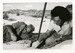 Луїс і Мері Лікі в Олдуваї на розкопках