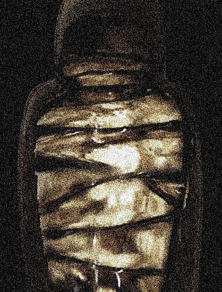 <span class="mw-page-title-main">Mellified man</span> Legendary medicinal substance, made of a human corpse preserved in honey