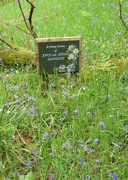 File:Memorial in the woods - geograph.org.uk - 2407916.jpg
