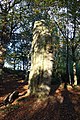 Le grand menhir de Lespurit-Ellen.