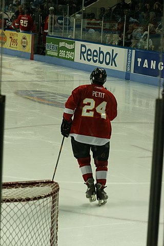 <span class="mw-page-title-main">Michel Petit</span> Canadian ice hockey player