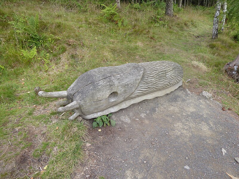 File:Moncreiffe wooden sculptures - Wooden slug 01.jpg