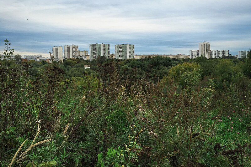 File:Moscow, South Medvedkovo, hill over the Chermyanka valley (31647841656).jpg