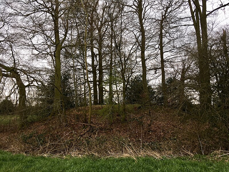 File:Motte castle known as Dane's Camp 400m south of Hampden House, Great and Little Hampden, Buckinghamshire, April 2020 1.jpg