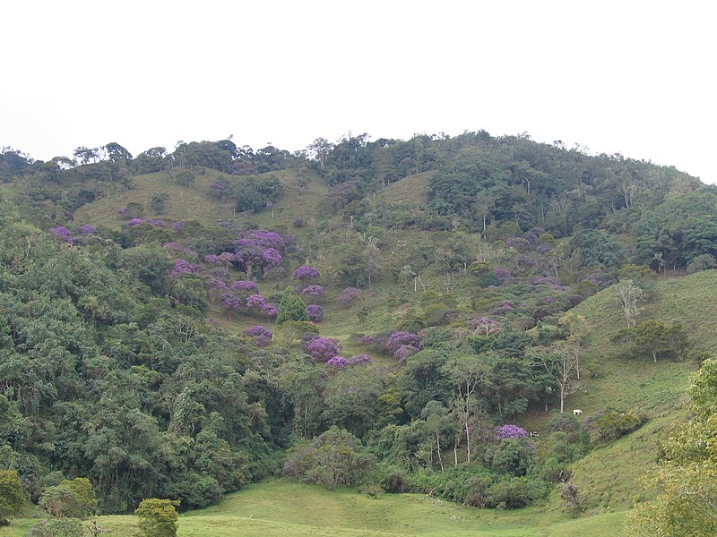 File:Mountain Farm - panoramio.jpg