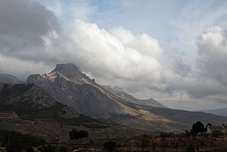 <span class="mw-page-title-main">Sierra de María-Los Vélez Natural Park</span>