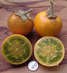 奎东茄 Naranjilla