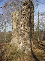 Burg Neu-Morungen