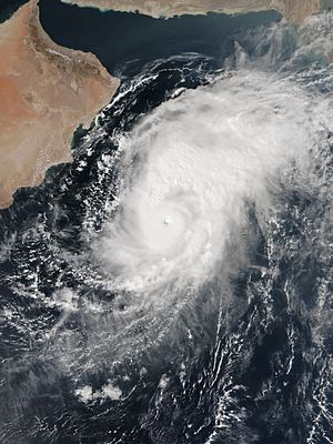 Nilofar 2014-10-28 0939Z.jpg