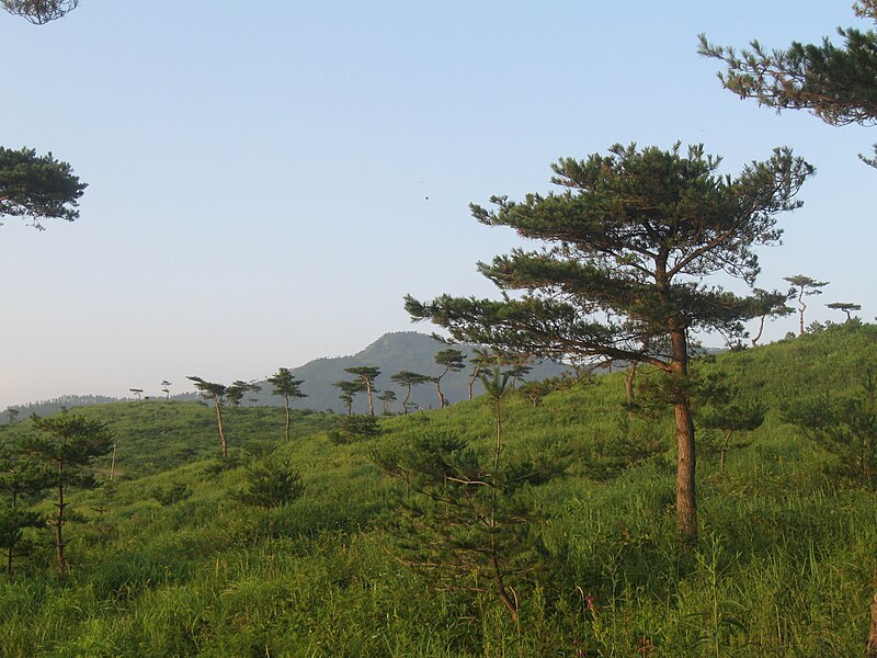 File:North Korea(21).jpg