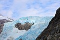 Glacier du Nord-Ouest ENBLA12.jpg