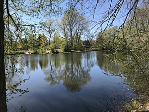 Nymphensee view to the northwest.jpg