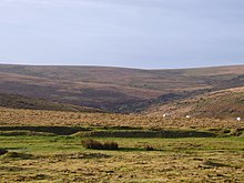 Looking up the O Brook O Brook.jpg