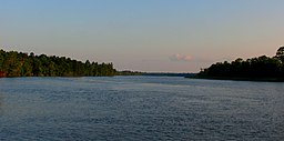 Ogeechee River.jpg