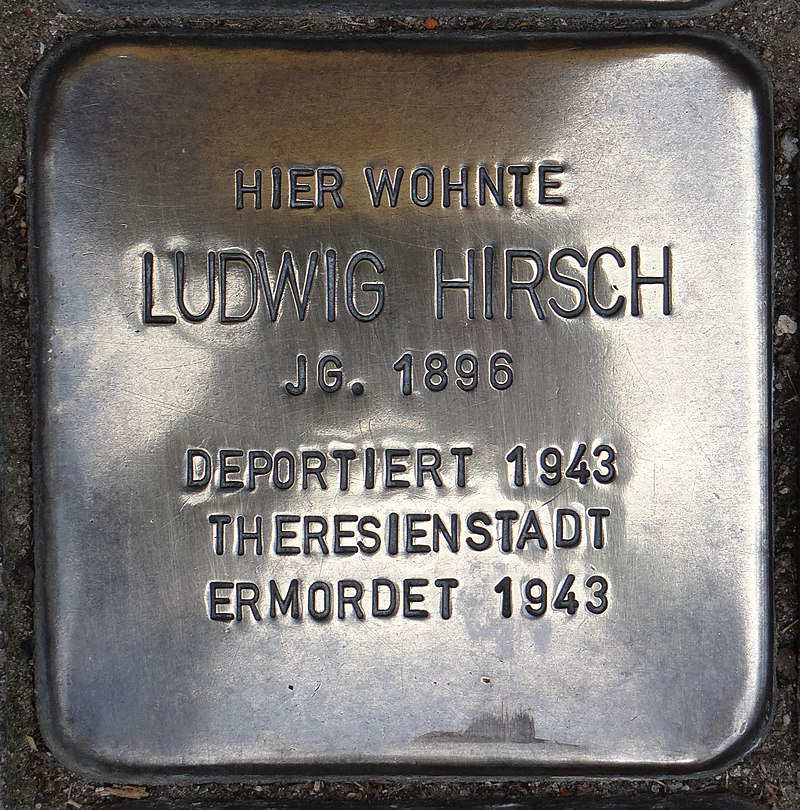 Oppenheim Stolperstein Vorstädter Straße 45 Ludwig Hirsch.jpg
