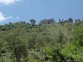 Otomah, Yemen - panoramio.jpg